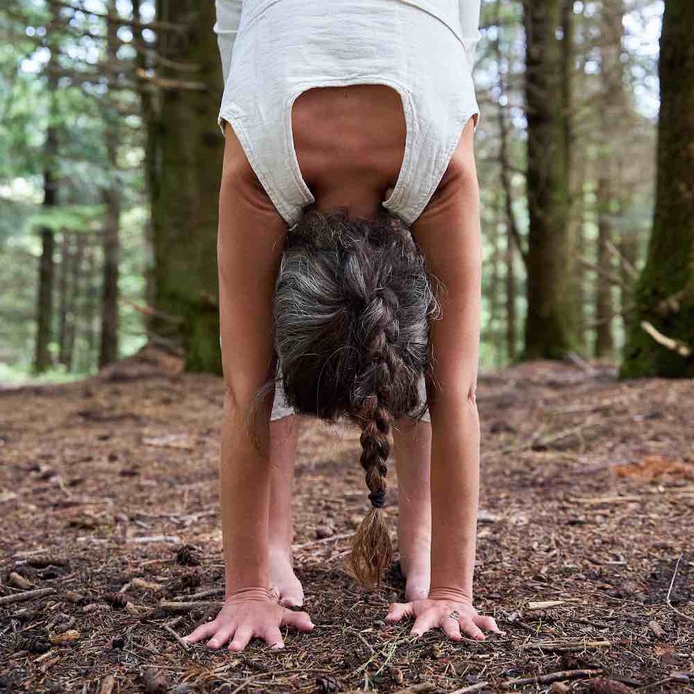 L’ancrage – 20 Novembre